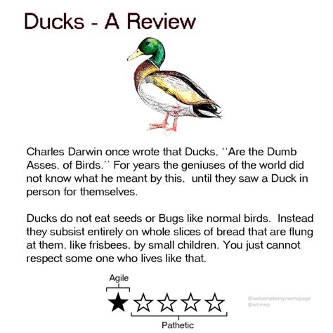Animal review